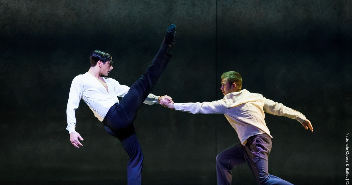 Het Nationale Ballet + ISH Dance Collective — Dorian | Amare | podium ...