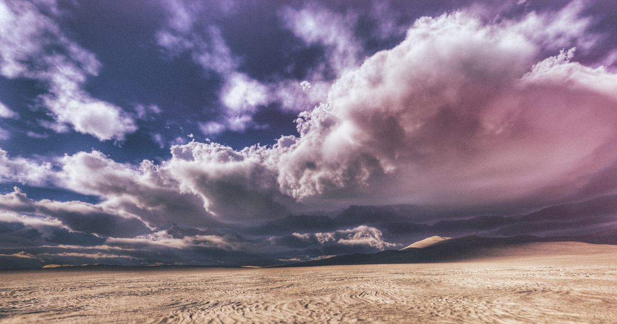 Steve Reich 90 - The Desert Music