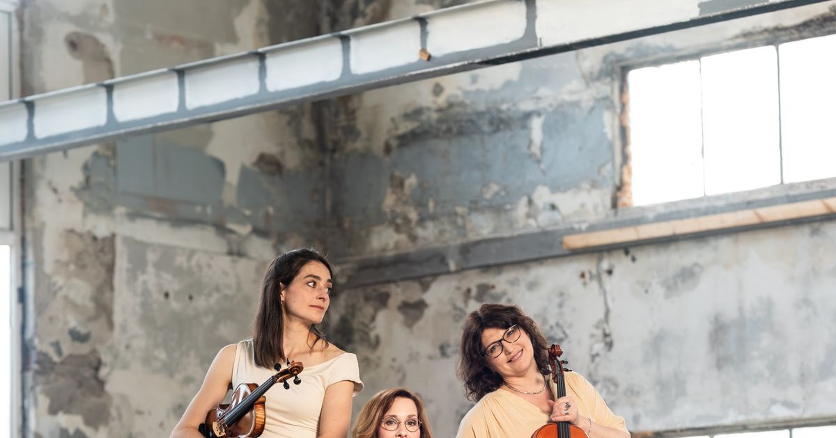 Highlights! — The Hague String Trio