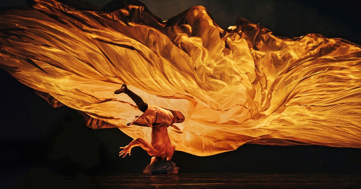 Holland Dance Festival 2024 Amare huis voor cultuur, educatie