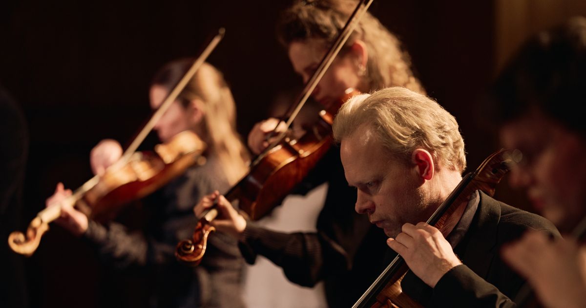 Middagconcert — Matangi Quartet in Amare, Den Haag