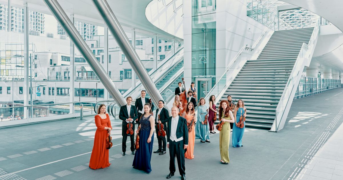FELIZ NAVIDAD — Ciconia - The Hague String Orchestra in Amare, Den Haag