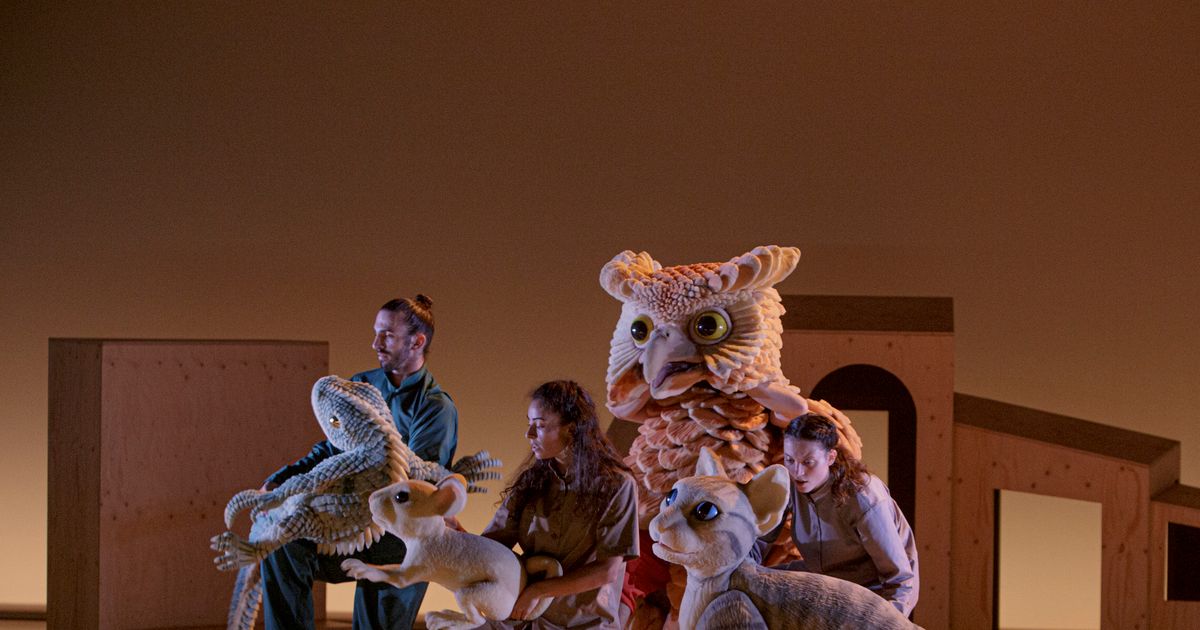 The cat who wanted to change her tale (6+) — Thomas Noone Dance - Nederlandse Première in Amare, Den Haag