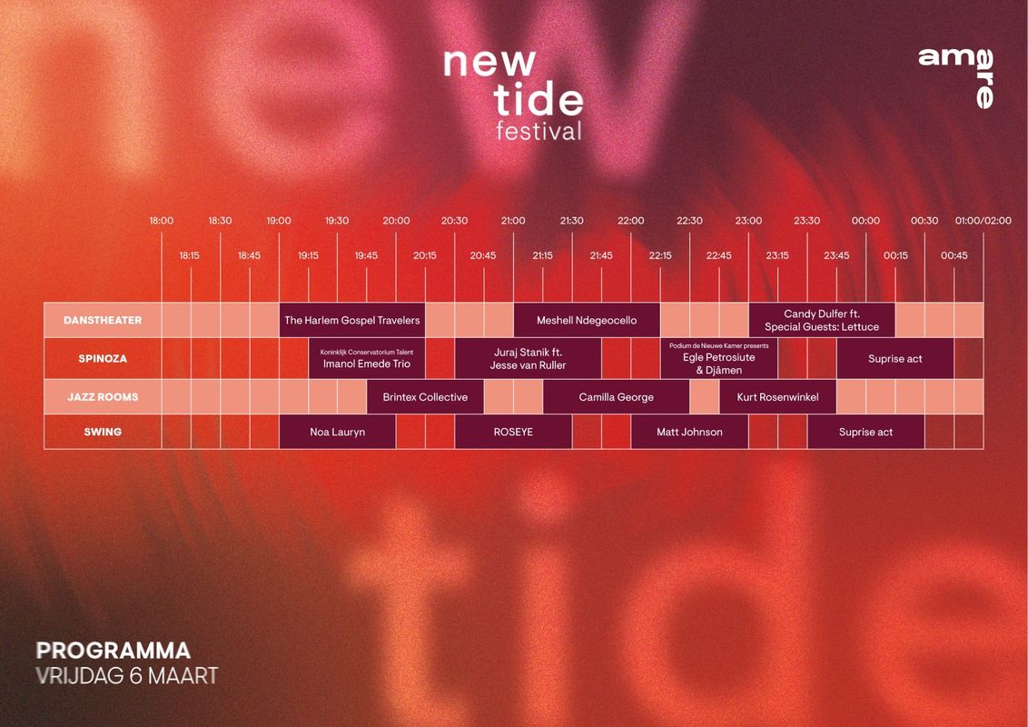 Blokkenschema vrijdag