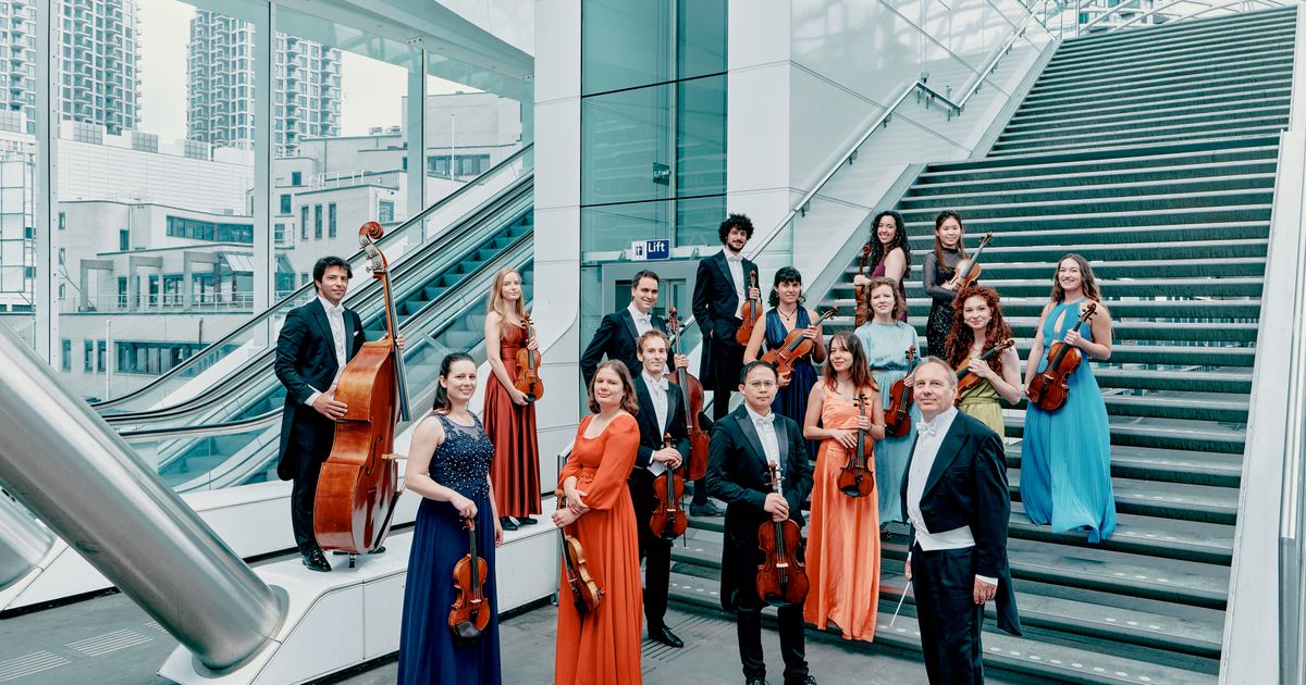 Van Taco tot Tango, de ziel van Zuid-Amerika — Ciconia - The Hague String Orchestra in Amare, Den Haag