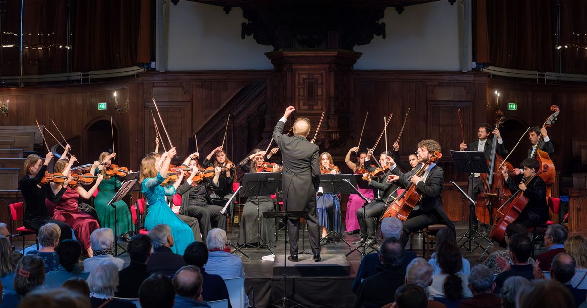 Van Taco tot Tango, de ziel van Zuid-Amerika — Ciconia - The Hague String Orchestra