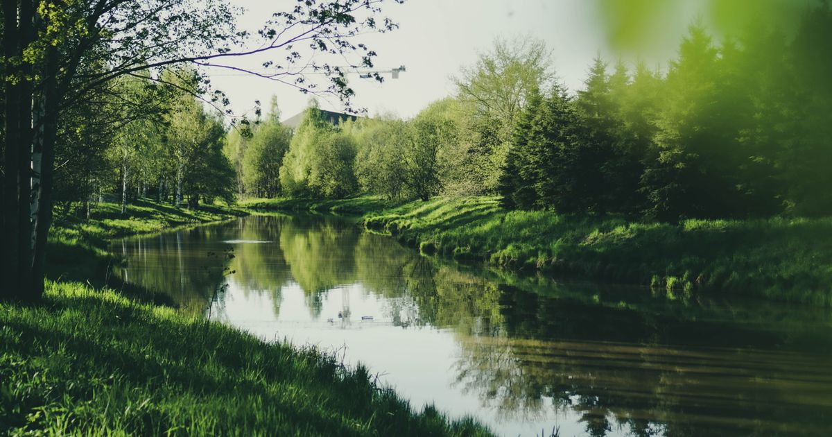 Voorbij het mens-denken: Wie spreekt namens de rivier? — Leven, technologie en politiek in een verweven wereld in Amare, Den Haag